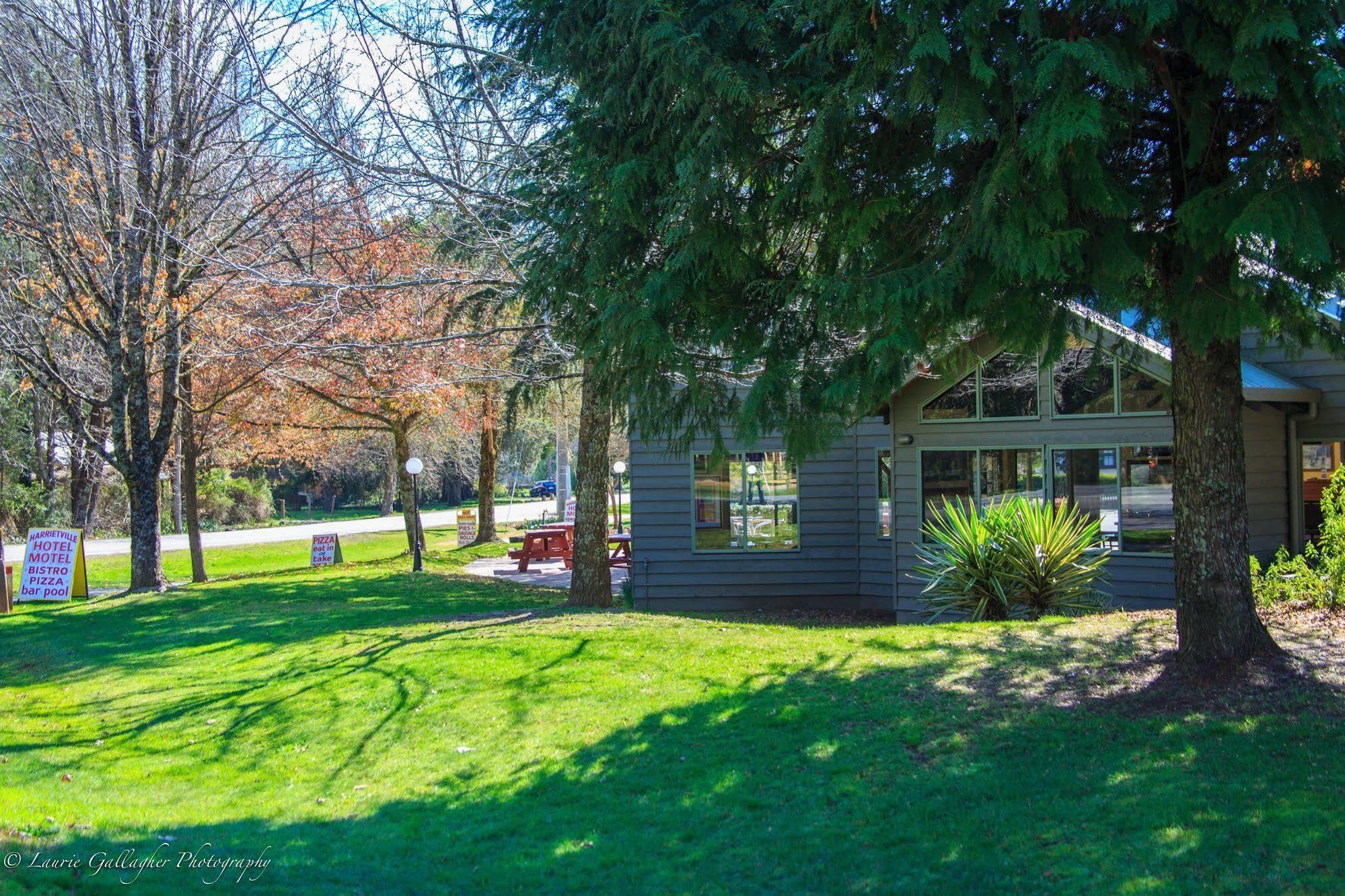 Harrietville Hotel Motel Exterior photo